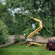 Best Tree and Shrub Care  in Hermantown, MN